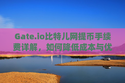 Gate.io比特儿网提币手续费详解，如何降低成本与优化提现策略 gateio比特儿网提币手续费