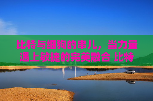 比特与细狗的串儿，当力量遇上敏捷的完美融合 比特和细狗的串儿