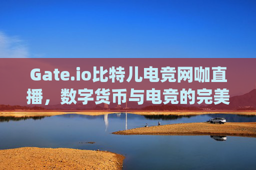 Gate.io比特儿电竞网咖直播，数字货币与电竞的完美融合 gateio比特儿电竞网咖直播
