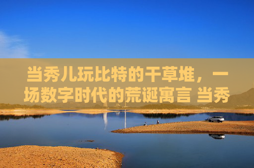 当秀儿玩比特的干草堆，一场数字时代的荒诞寓言 当秀儿玩比特的干草堆