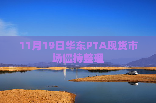 11月19日华东PTA现货市场僵持整理