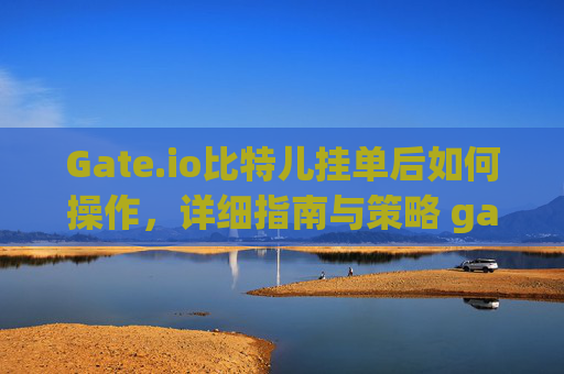 Gate.io比特儿挂单后如何操作，详细指南与策略 gateio比特儿挂单以后如何操作
