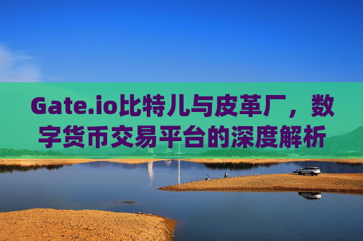 Gate.io比特儿与皮革厂，数字货币交易平台的深度解析 gateio比特儿皮革厂怎么样