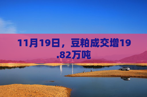 11月19日，豆粕成交增19.82万吨