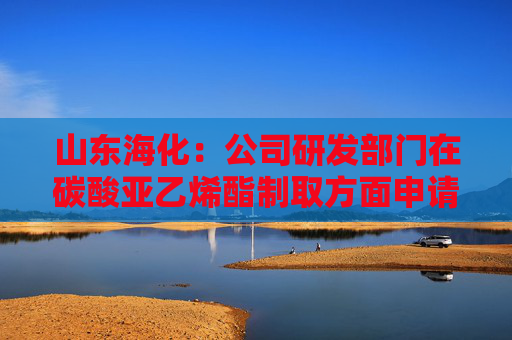 山东海化：公司研发部门在碳酸亚乙烯酯制取方面申请了相关专利