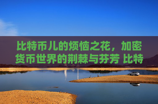 比特币儿的烦恼之花，加密货币世界的荆棘与芬芳 比特币儿的烦恼之花