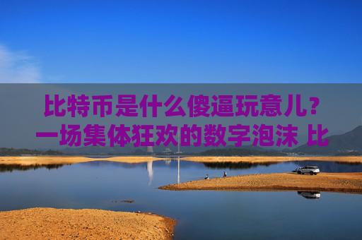 比特币是什么傻逼玩意儿？一场集体狂欢的数字泡沫 比特币是什么傻逼玩意儿