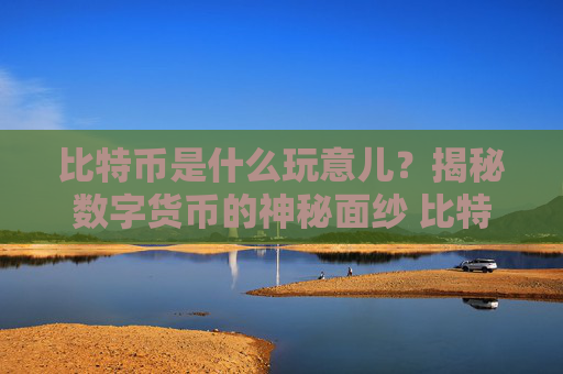 比特币是什么玩意儿？揭秘数字货币的神秘面纱 比特币是什么玩意儿