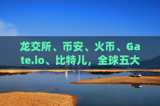 龙交所、币安、火币、Gate.io、比特儿，全球五大加密货币交易所对比分析 龙交所币安火币gateio比特儿