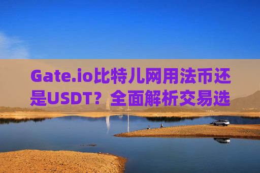 Gate.io比特儿网用法币还是USDT？全面解析交易选择 gateio比特儿网用法币还是usdt