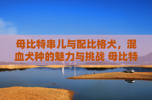 母比特串儿与配比格犬，混血犬种的魅力与挑战 母比特串儿配比格犬