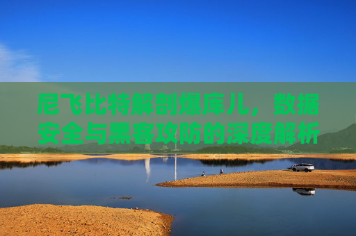 尼飞比特解剖爆库儿，数据安全与黑客攻防的深度解析 尼飞比特解剖爆库儿