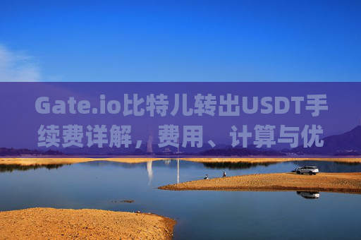 Gate.io比特儿转出USDT手续费详解，费用、计算与优化策略 gateio比特儿转出usdt手续费多少-第1张图片-大猪科技网