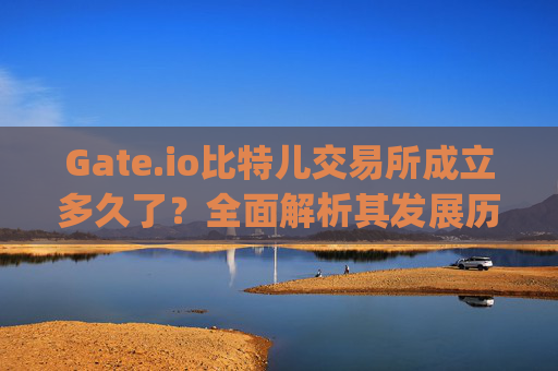 Gate.io比特儿交易所成立多久了？全面解析其发展历程与现状 gateio比特儿有多大年龄了