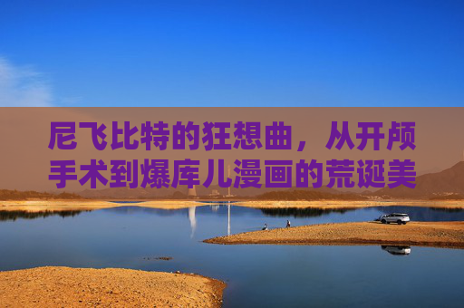 尼飞比特的狂想曲，从开颅手术到爆库儿漫画的荒诞美学 尼飞比特开颅爆库儿漫画