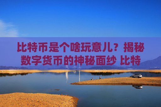 比特币是个啥玩意儿？揭秘数字货币的神秘面纱 比特币是个啥玩意儿