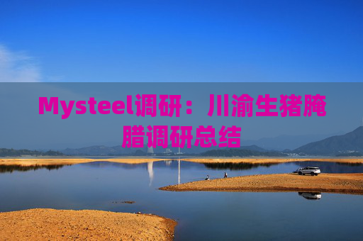 Mysteel调研：川渝生猪腌腊调研总结