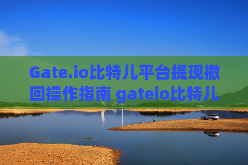 Gate.io比特儿平台提现撤回操作指南 gateio比特儿平台怎么撤回提现