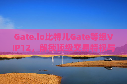 Gate.io比特儿Gate等级VIP12，解锁顶级交易特权与优势 gateio比特儿gate等级vip12