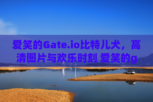 爱笑的Gate.io比特儿犬，高清图片与欢乐时刻 爱笑的gateio比特儿犬图片高清