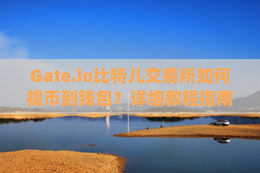 Gate.io比特儿交易所如何提币到钱包？详细教程指南 gateio比特儿的币怎么提到钱包里