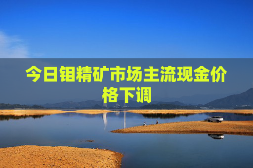 今日钼精矿市场主流现金价格下调
