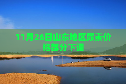 11月26日山东地区尿素价格部分下调
