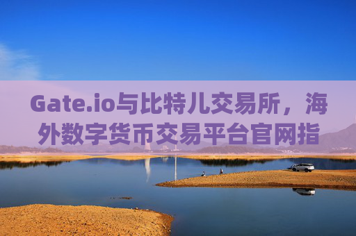 Gate.io与比特儿交易所，海外数字货币交易平台官网指南 海外gateio比特儿交易所官网-第1张图片-大猪科技网