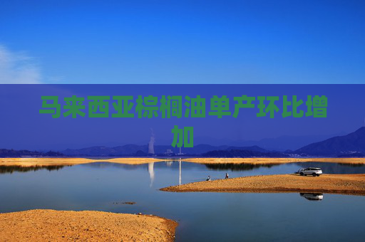 马来西亚棕榈油单产环比增加