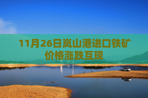 11月26日岚山港进口铁矿价格涨跌互现