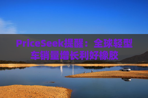 PriceSeek提醒：全球轻型车销量增长利好橡胶