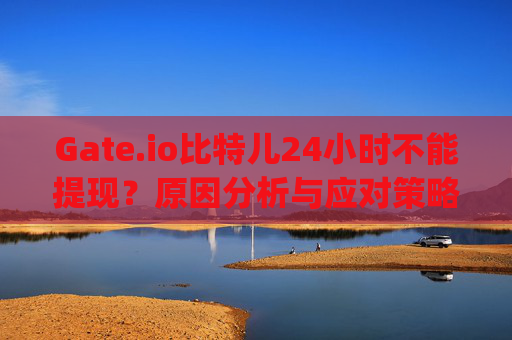 Gate.io比特儿24小时不能提现？原因分析与应对策略 gateio比特儿24小时不能提现