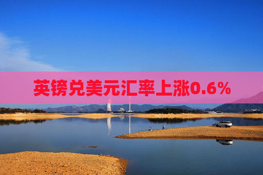 英镑兑美元汇率上涨0.6%