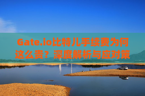 Gate.io比特儿手续费为何这么贵？深度解析与应对策略 gateio比特儿手续费这么贵