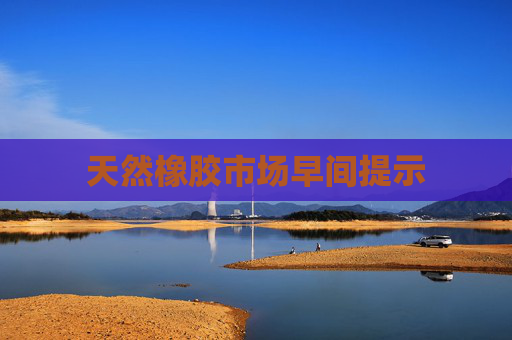 天然橡胶市场早间提示