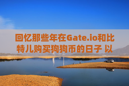 回忆那些年在Gate.io和比特儿购买狗狗币的日子 以前gateio比特儿买的狗狗币