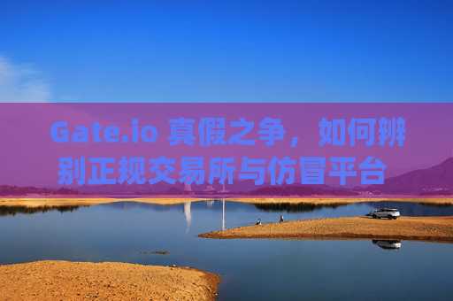 Gate.io 真假之争，如何辨别正规交易所与仿冒平台 真假gateio-第1张图片-大猪科技网
