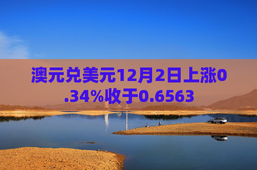 澳元兑美元12月2日上涨0.34%收于0.6563