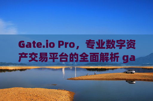 Gate.io Pro，专业数字资产交易平台的全面解析 gateio.pro