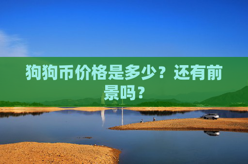 狗狗币价格是多少?还有前景吗?