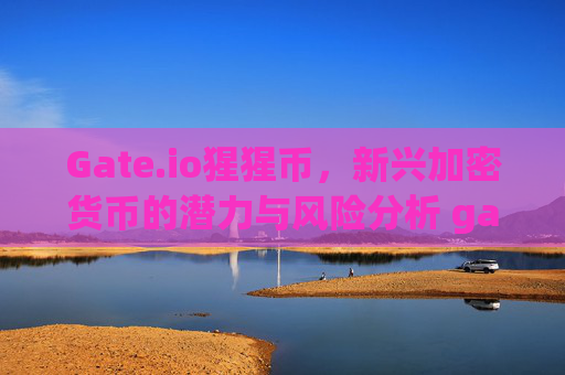 Gate.io猩猩币，新兴加密货币的潜力与风险分析 gateio猩猩币