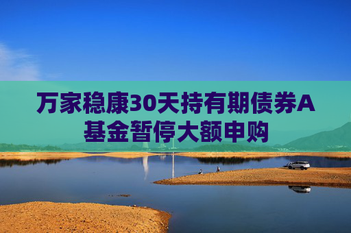 万家稳康30天持有期债券A基金暂停大额申购