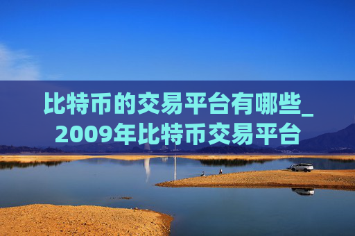 比特币的交易平台有哪些_2009年比特币交易平台