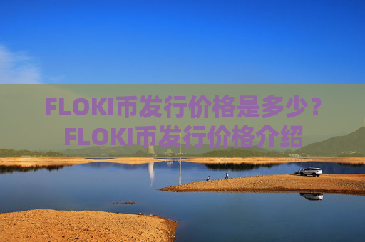 FLOKI币发行价格是多少?FLOKI币发行价格介绍