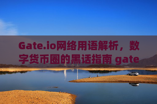 Gate.io网络用语解析，数字货币圈的黑话指南 gate.io网络用语