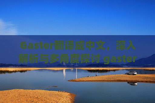 Gaster翻译成中文，深入解析与多角度探讨 gaster翻译成中文