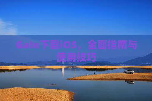 Gate下载iOS，全面指南与使用技巧