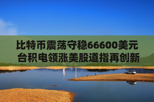 比特币震荡守稳66600美元 台积电领涨美股道指再创新高