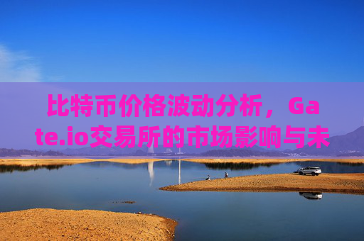 比特币价格波动分析，Gate.io交易所的市场影响与未来展望 比特币价格gateio