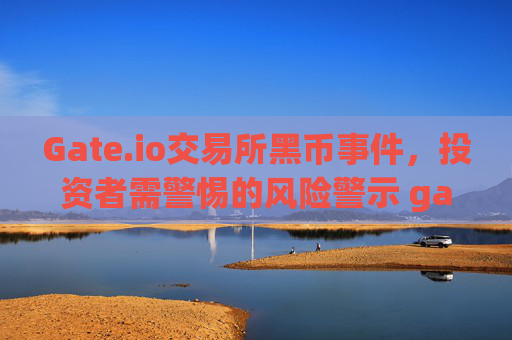 Gate.io交易所黑币事件，投资者需警惕的风险警示 gate.io交易所黑币